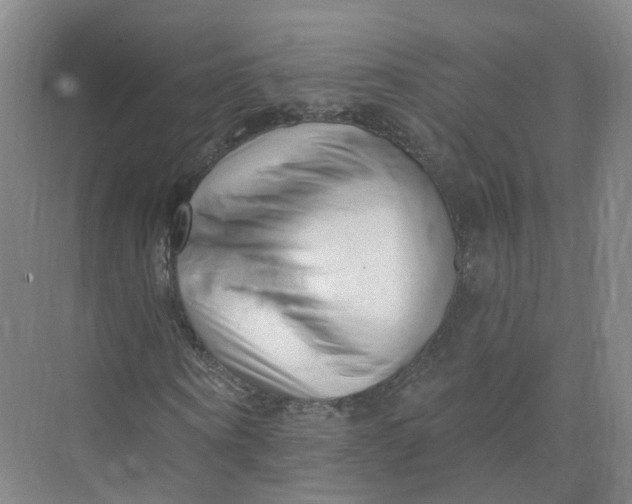 X0000073830866200608311906