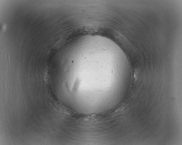 X0000073830867200608311906