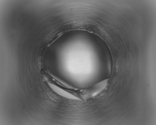 X0000073830868200608311906