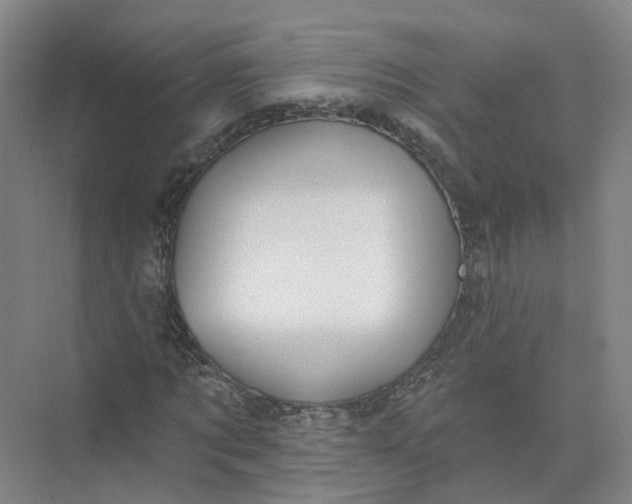 X0000073830869200608311906