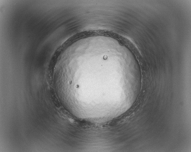 X0000073830871200608311906