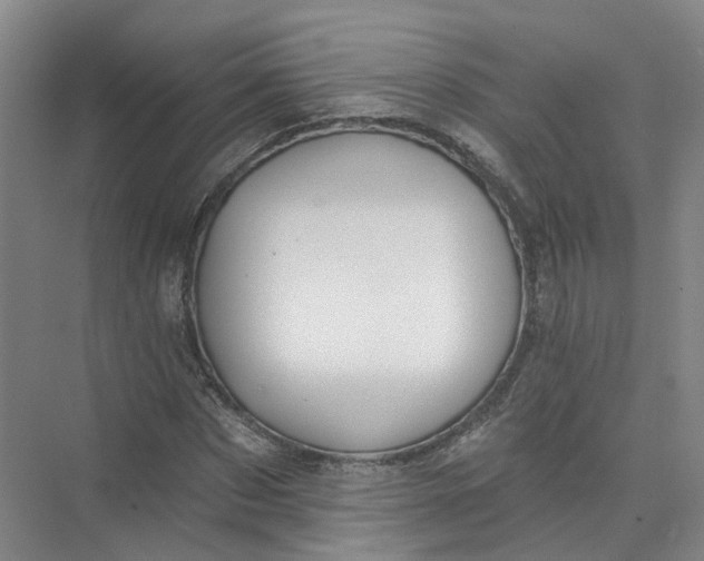 X0000073830873200608311906