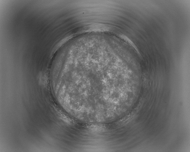 X0000073830874200608311906