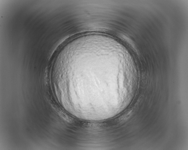 X0000073830875200608311906