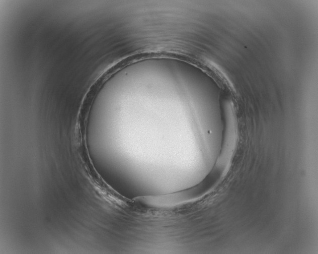 X0000073830876200608311906