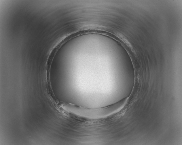 X0000073830877200608311906