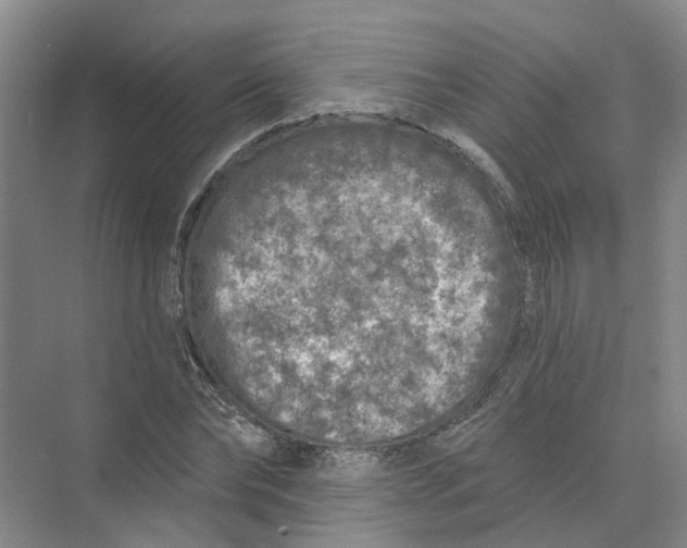 X0000073830878200608311906