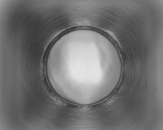 X0000073830879200608311906