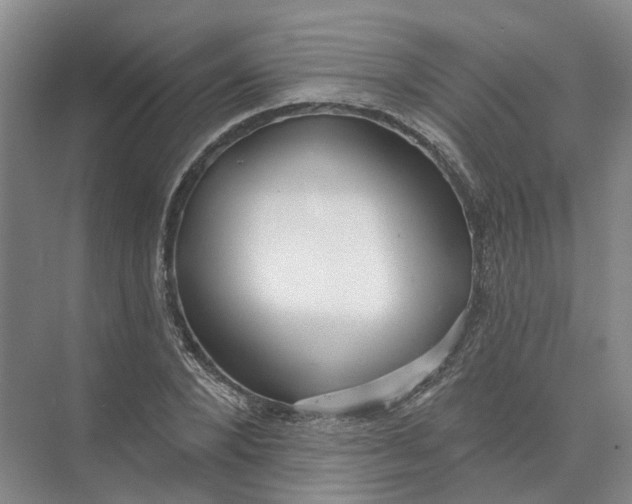 X0000073830880200608311906