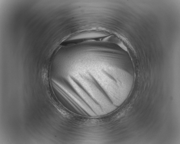 X0000073830881200608311906