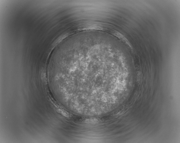 X0000073830882200608311906