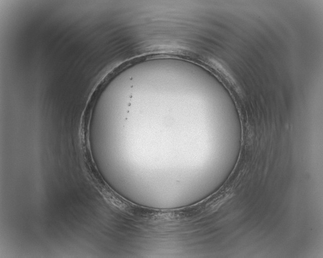 X0000073830883200608311906