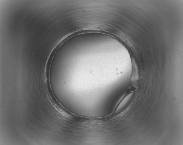 X0000073830884200608311906