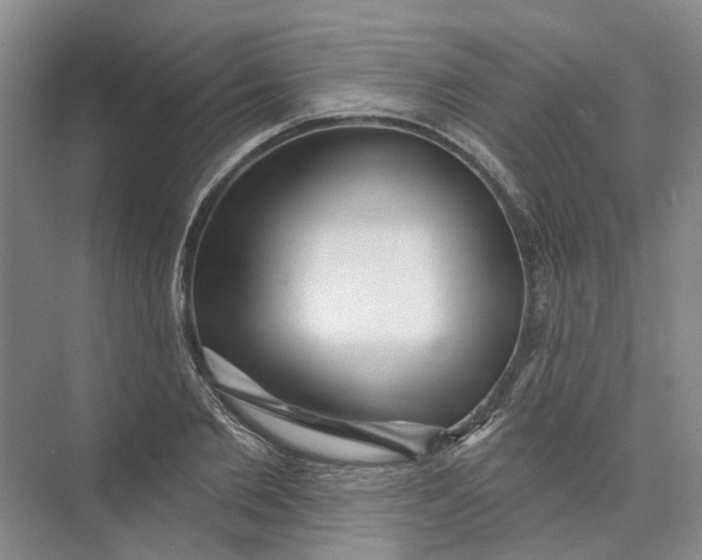 X0000073830885200608311906