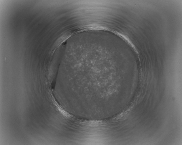 X0000073830889200608311905