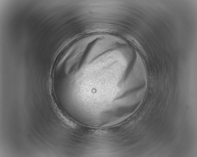 X0000073830890200608311905