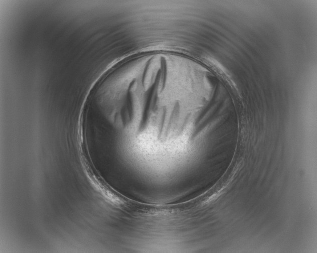 X0000073830892200608311905