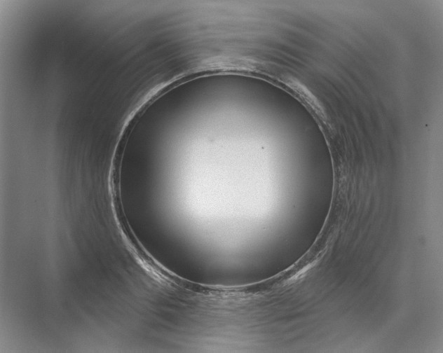 X0000073830893200608311905