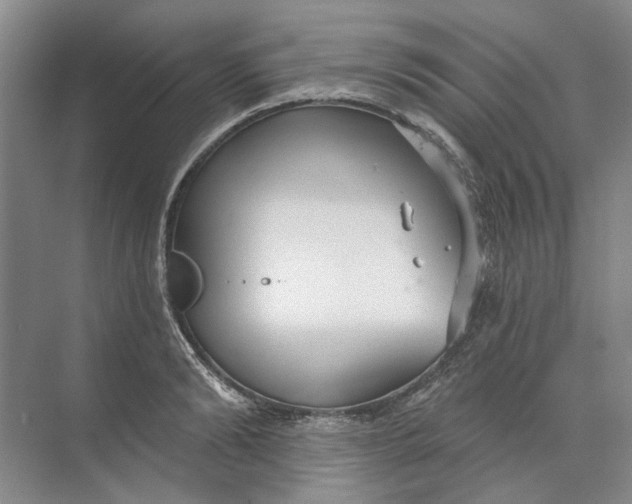 X0000073830894200608311905