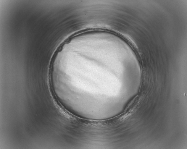 X0000073830895200608311905