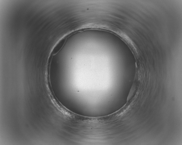 X0000073830896200608311905