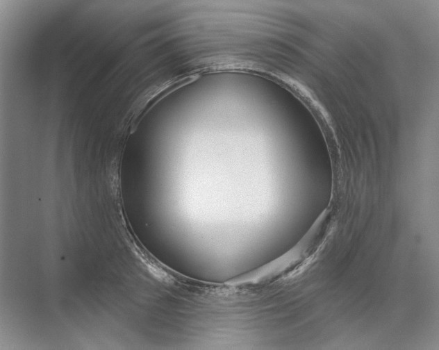 X0000073830897200608311905