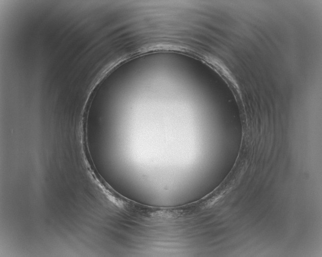 X0000073830898200608311905