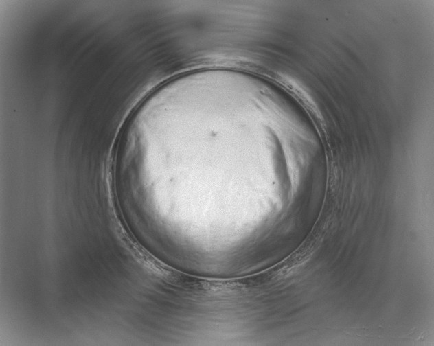 X0000073830899200608311905