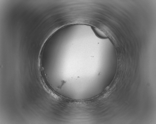 X0000073830900200608311905