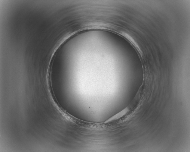 X0000073830901200608311905