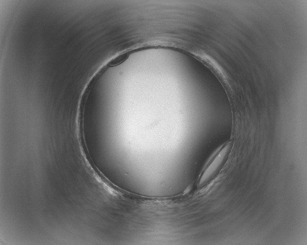 X0000073830902200608311905