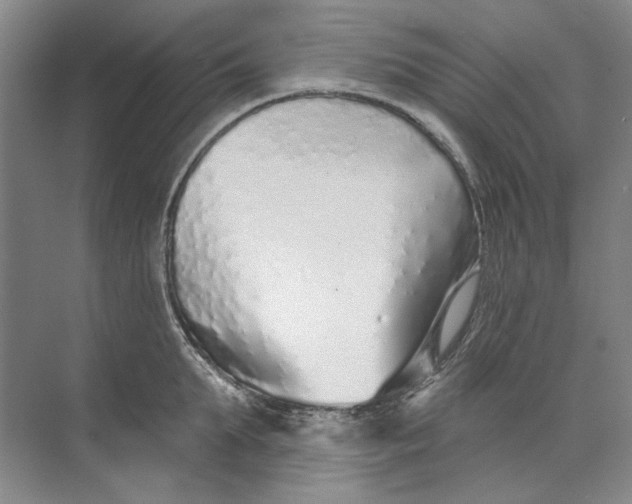 X0000073830903200608311905