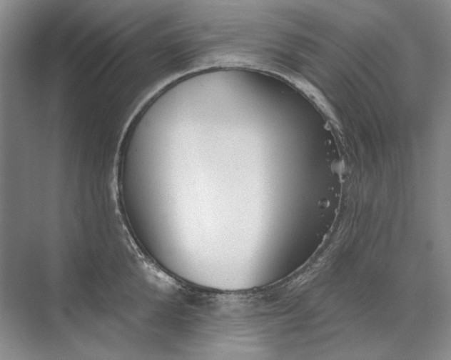 X0000073830904200608311905