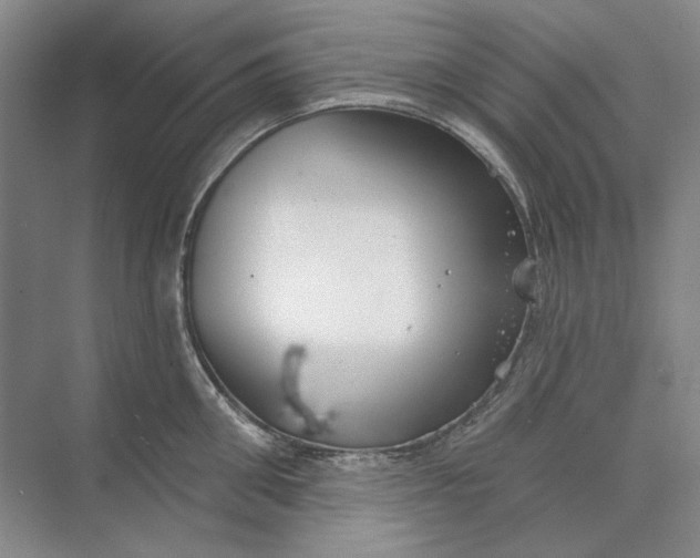 X0000073830906200608311905