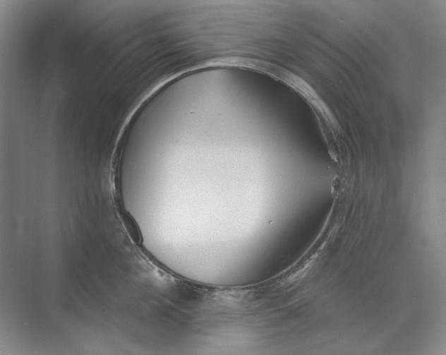 X0000073830908200608311905