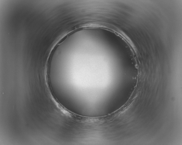 X0000073830909200608311905