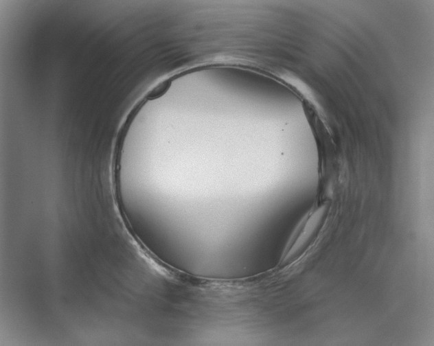 X0000073830910200608311905