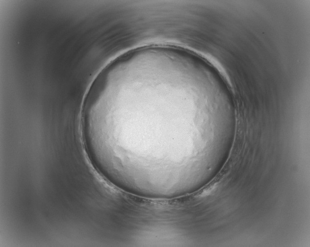 X0000073830911200608311905