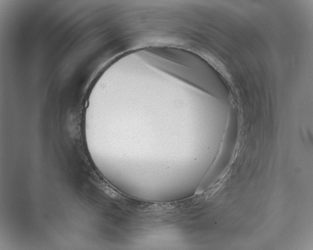 X0000073830912200608311905