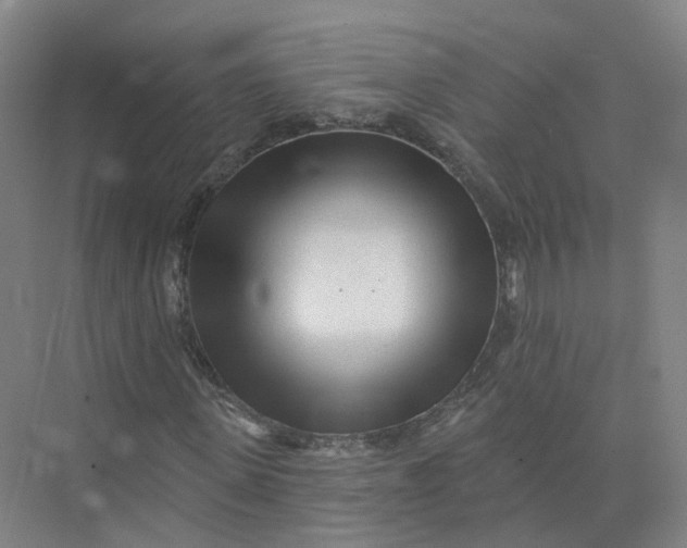 X0000073830915200608311904