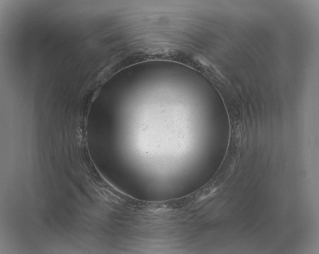 X0000073830916200608311904