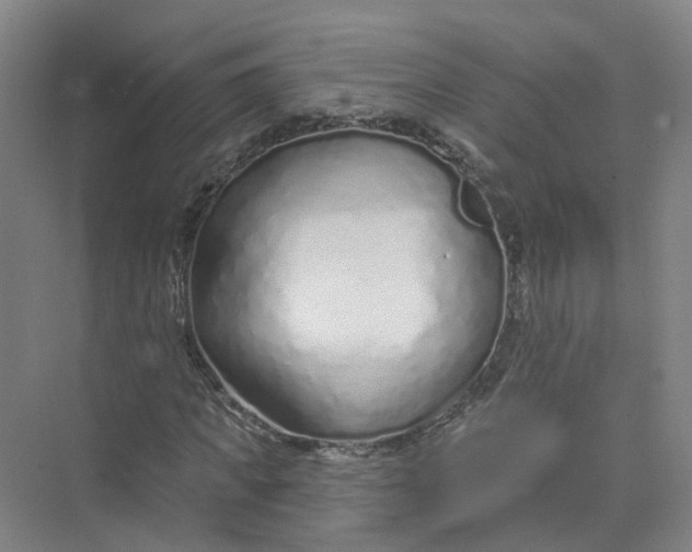 X0000073830917200608311904