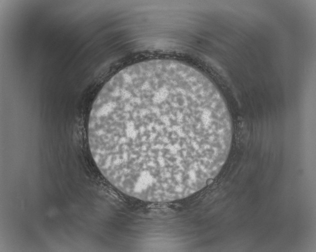 X0000073830918200608311904