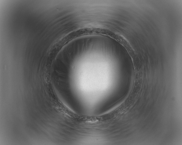 X0000073830919200608311904