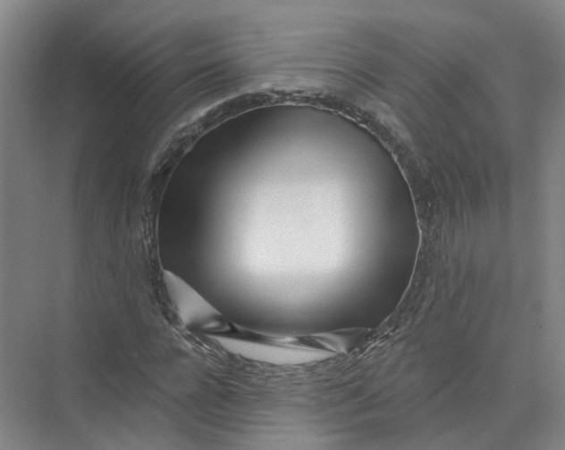 X0000073830920200608311904