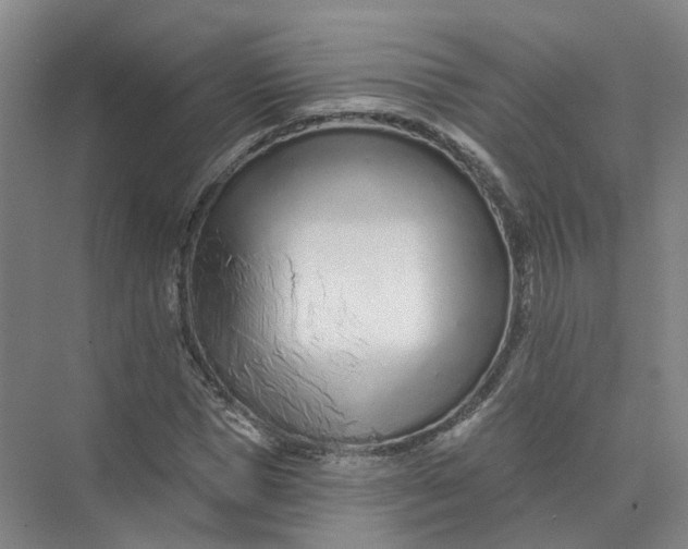 X0000073830921200608311904