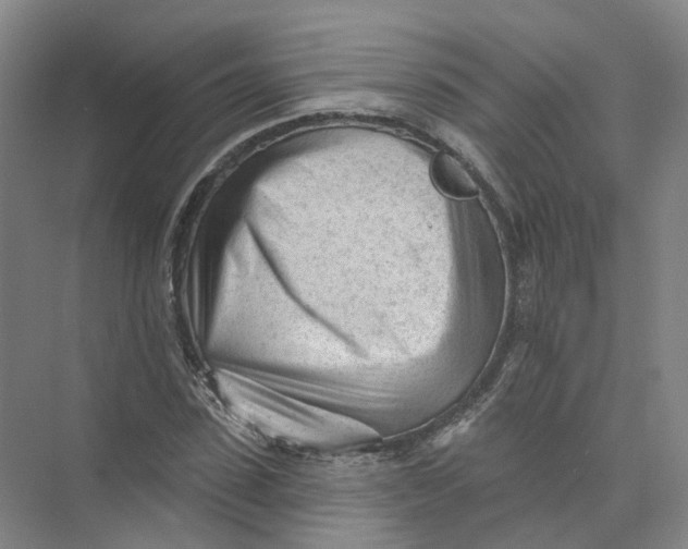 X0000073830923200608311904