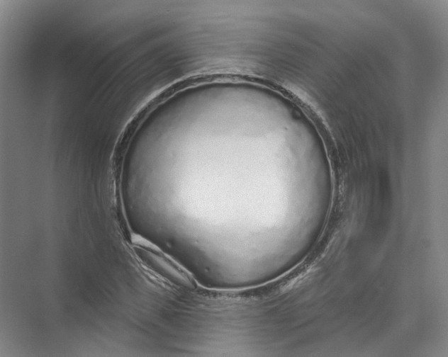 X0000073830925200608311905