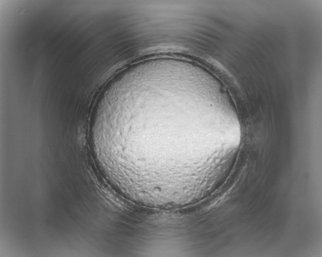 X0000073830929200608311905