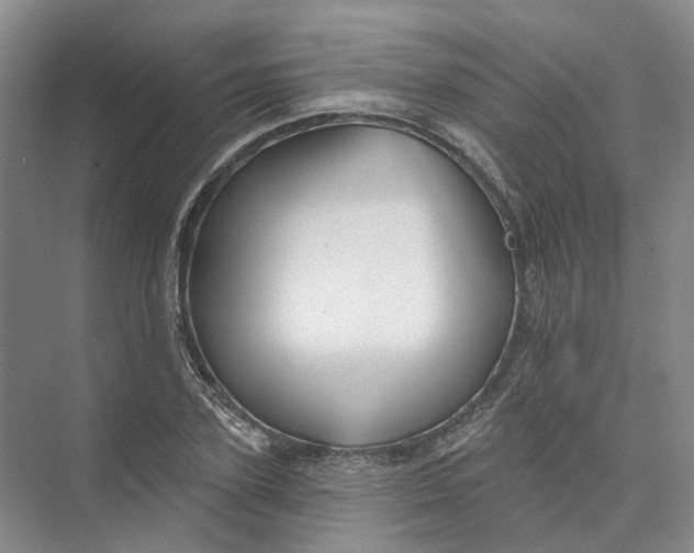 X0000073830931200608311905